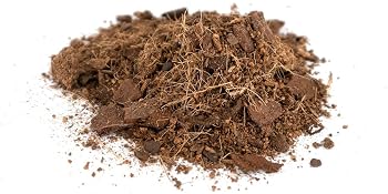 coco select close up