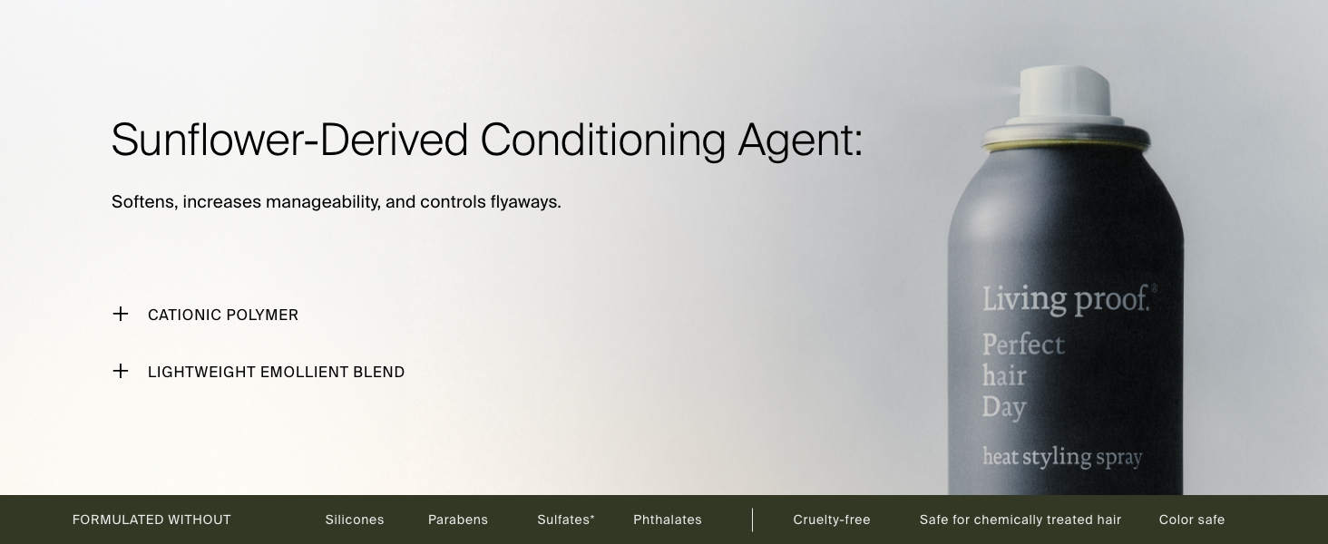 Heat Styling Spray Benefits - Desktop