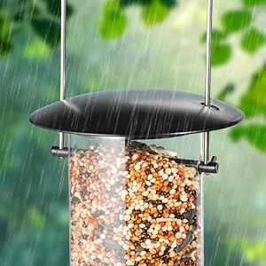 Wild Bird Feeder outdoors