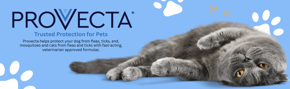 Provecta