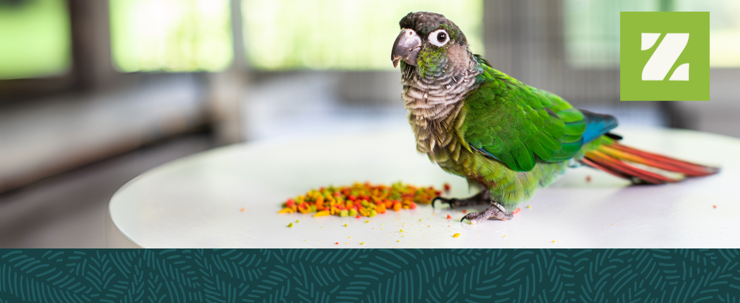 zupreem fruitblend bird food pellets conure parrot