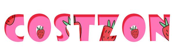 costzon logo