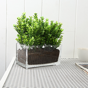 Modern Rectangular Glass Vase, Trough Planter, Tabletop Glass Terrarium