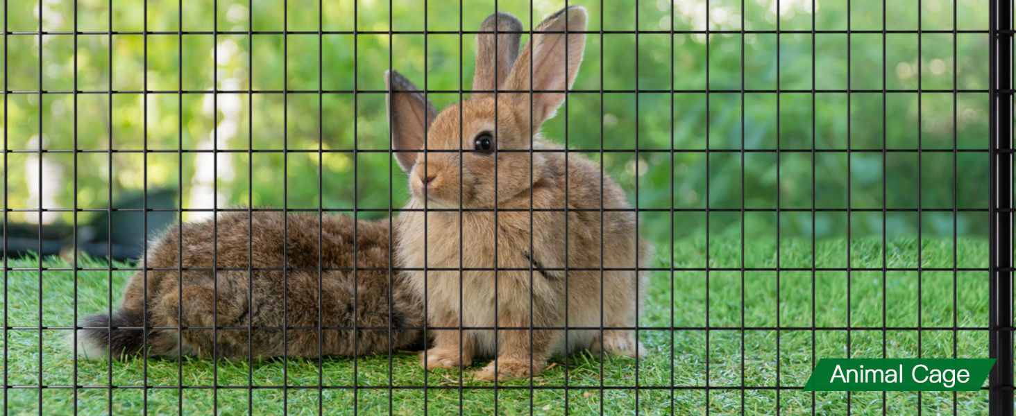 wire fence