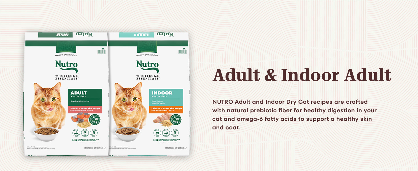 nutro dry cat
