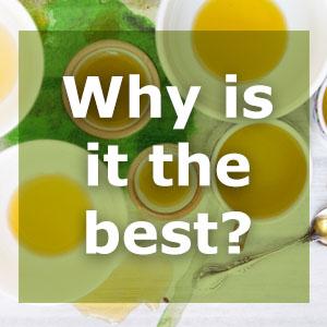 Olive Oil Health