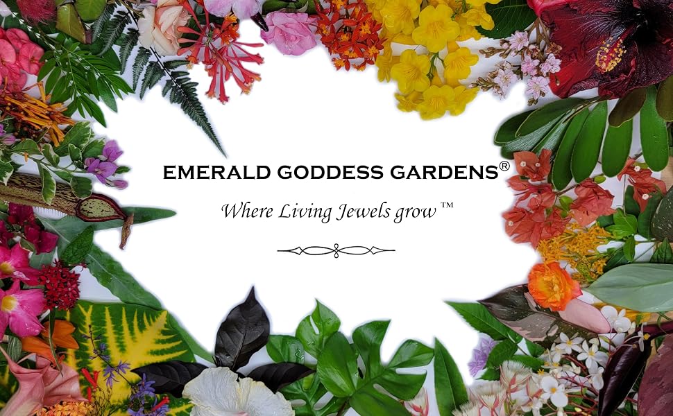 Emerald Goddess Gardens text surrounded by tropical leaves and flowers.