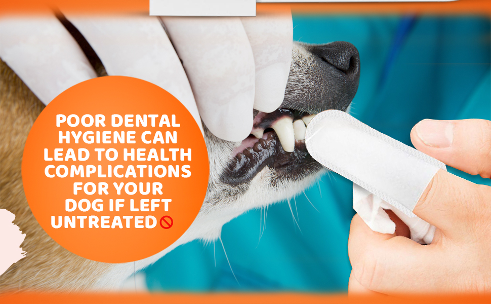 Dog Tooth wipes