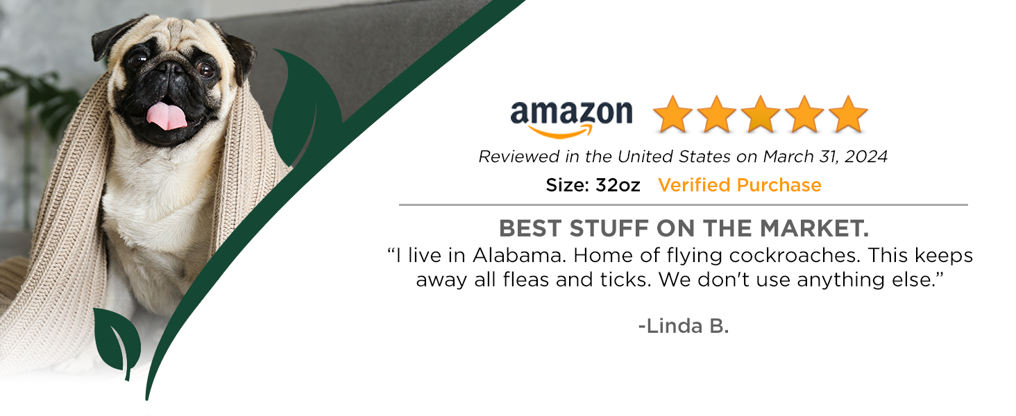 Customer review 5