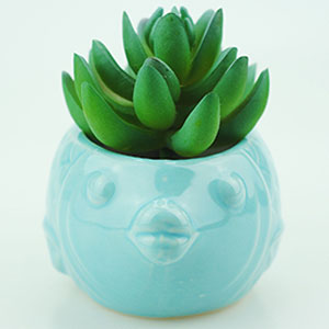 Unique ocean style pot