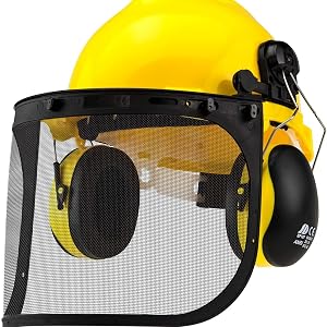 Safety Helmet with Earmuffs