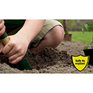 replant