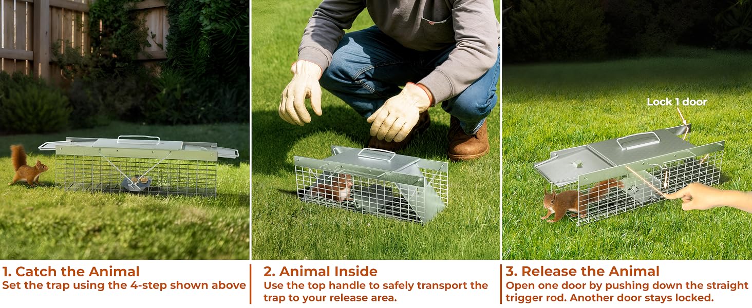 live rodent trap