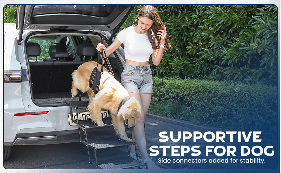 Owner guiding large dog on Veralux stairs with lift harness, stable car access.