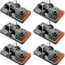 rat traps