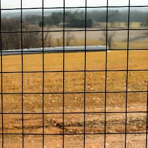 Field behind welded wire.