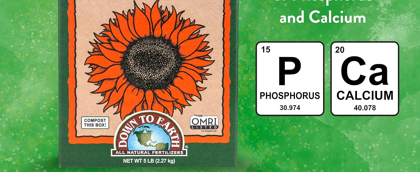 Rock Phosphate 2
