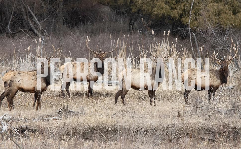pearson ranch