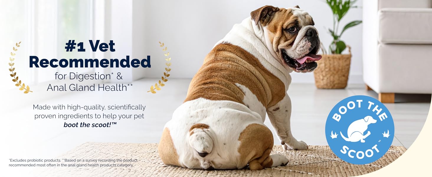 Vetnique Glandex for dogs who scoot, #1 vet recommended for anal gland and digestion health