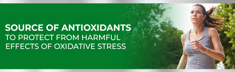 source of antioxidants