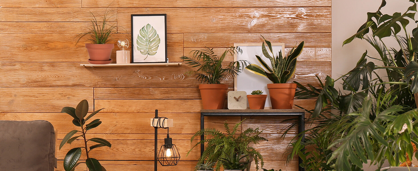 Home Decor