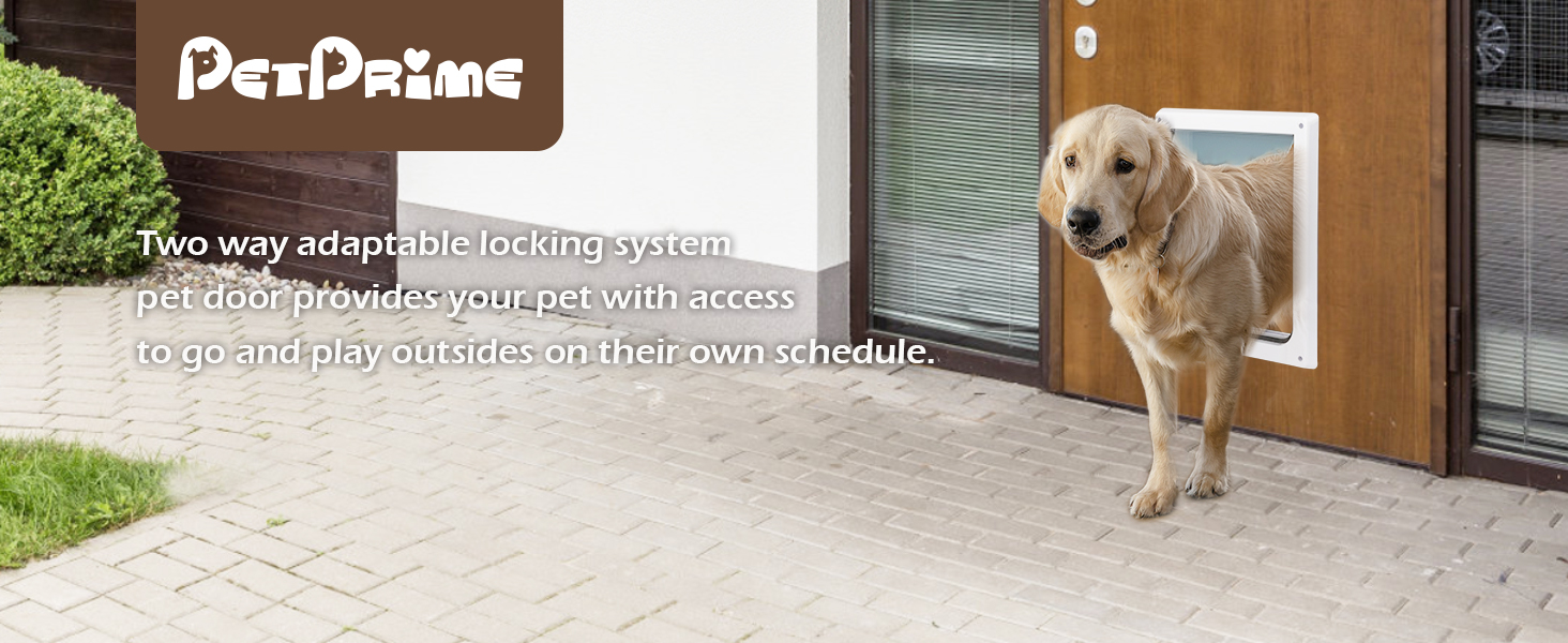 dog door
