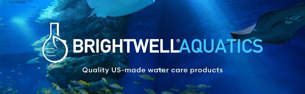 reef tank salt water aquarium kit brightwell aquatic wonder shell snail calcium marine carbonate