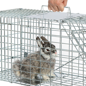 TRAP FOR rabbit