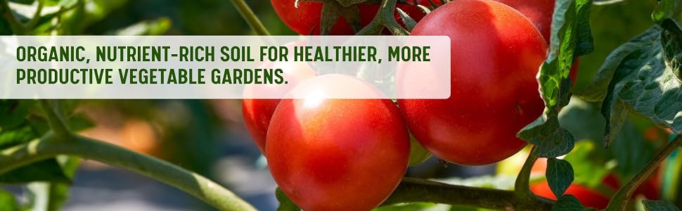 Big Rootz Super Soil Organic Nutrient Rich