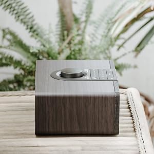 SANGEAN WFR-32 Internet Radio, Supporting Bluetooth, WiFi and Streaming Services like Spotify