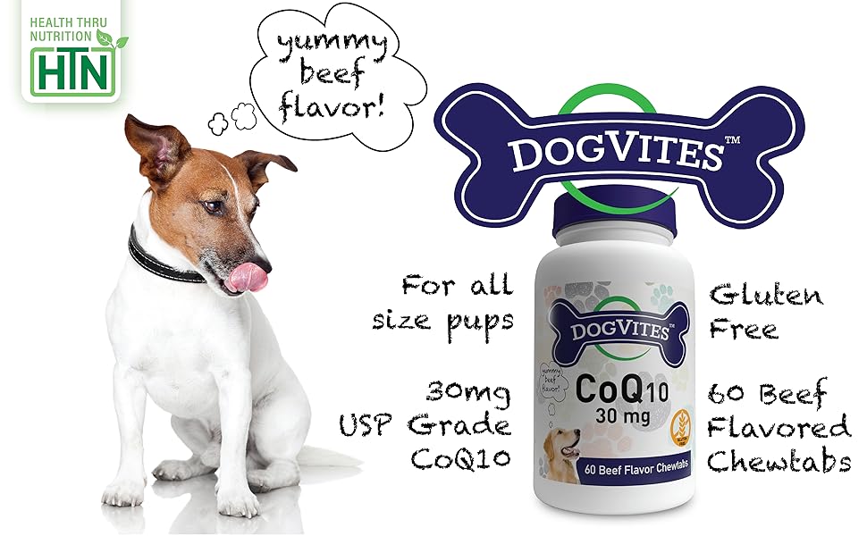 CoQ10 for Dogs