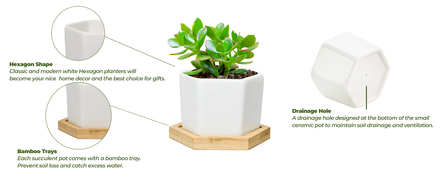 white ceramic pots