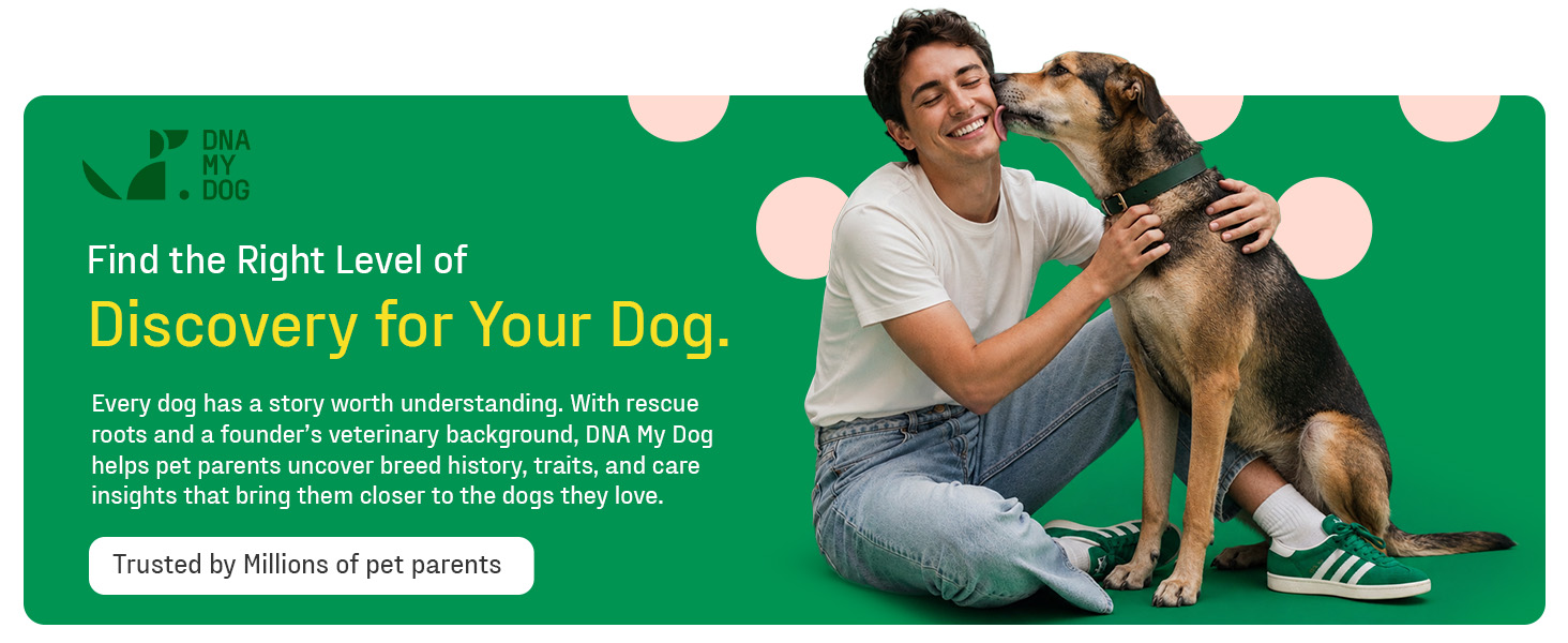 DNA My Dog banner showing a man cuddling his German Shepherd mix