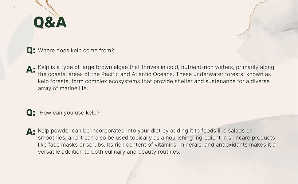 kelp
