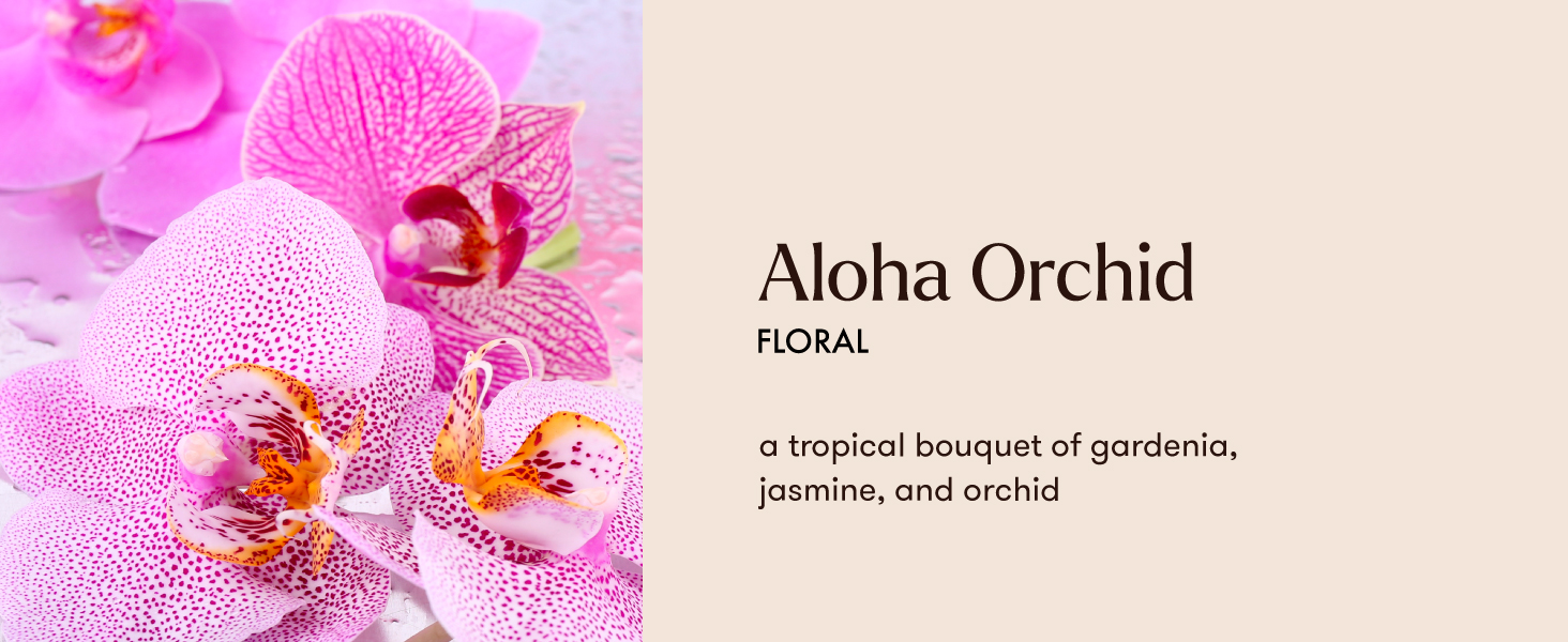 Aloha Orchid