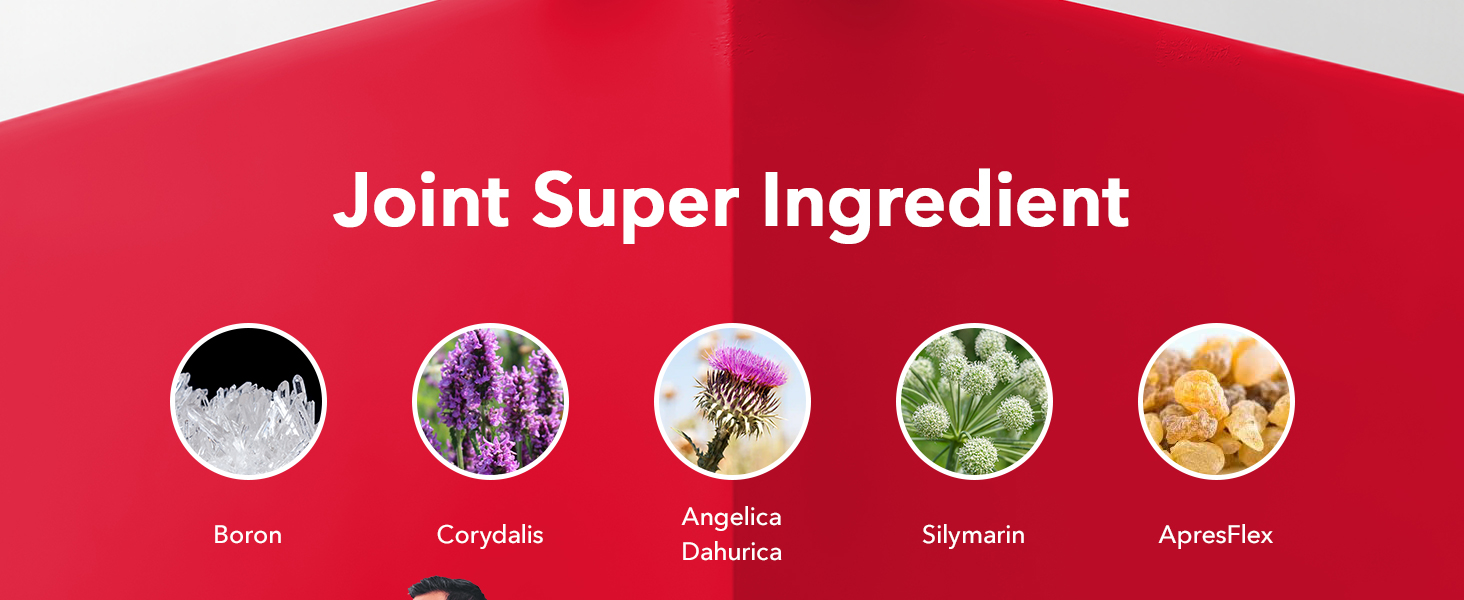 Vegetarian joint supplement helping relieve bone-on-bone discomfort and support cartilage