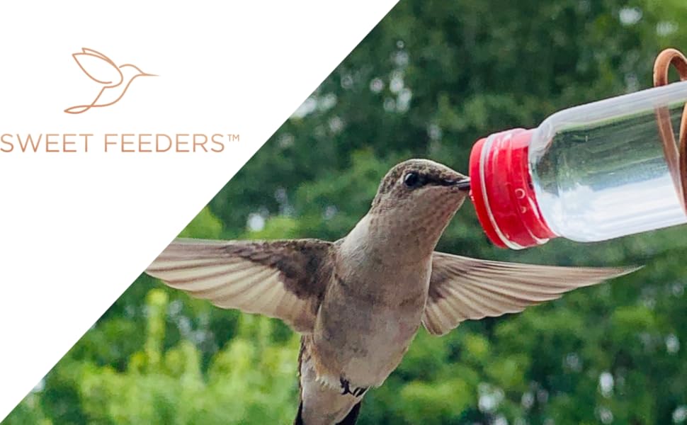HUMMINGBIRD FEEDERS MADE SIMPLE