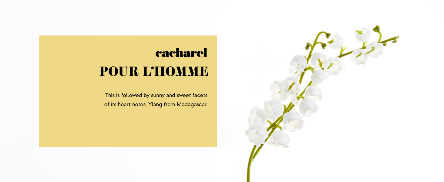 homme