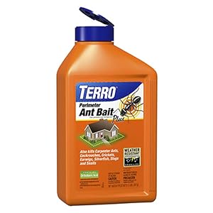 TERRO, ant bait, perimeter ant bait, insect control