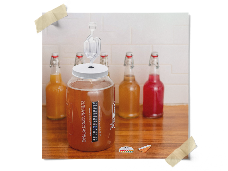 fermentador self tamper fermenation fermantation gallons jun supply veggie syrup maple airlick clas