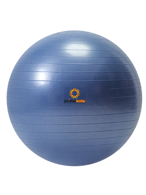 Exercise Ball Choose from 5 colors Colors: Indigo blue/Nail pink/Pale gray/Blue/Silver gray