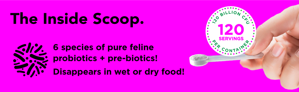 pure probiotics prebiotics