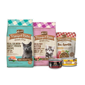 Merrick Purrfect Bistro dry cat food, wet cat food, and wet cat food toppers