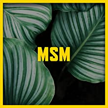 MSM