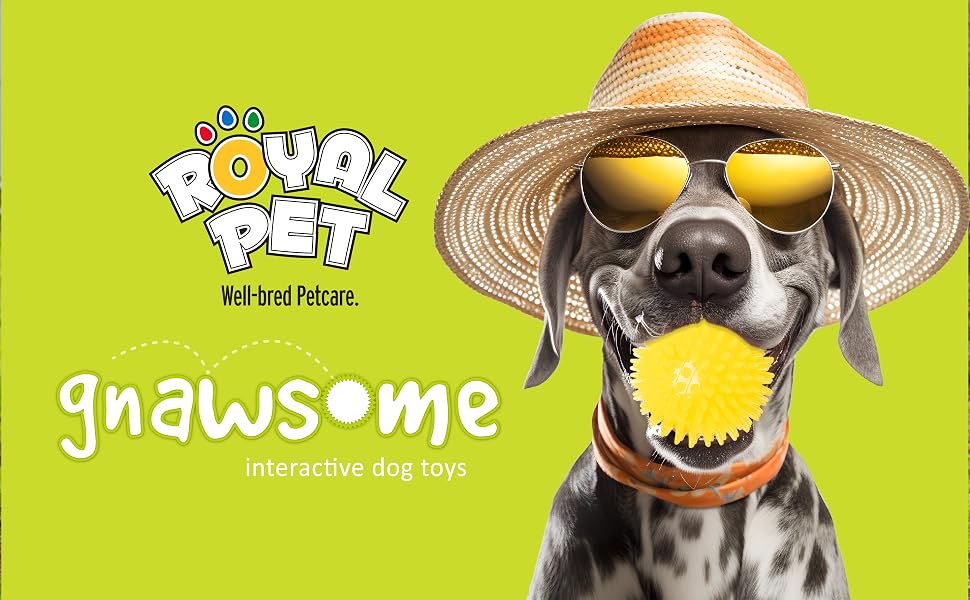 dog toy