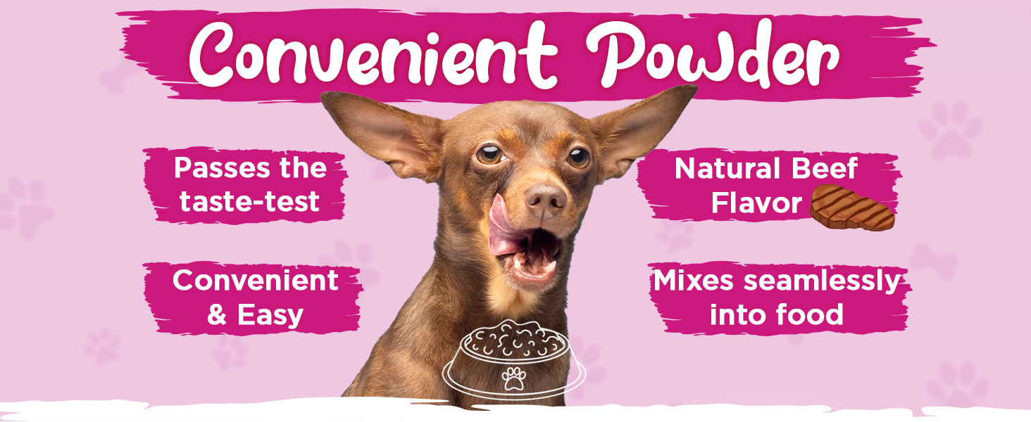 enzymes probiotics prebiotics fiber pumpkin fennel pancreatin digestion pancreas veterinarian