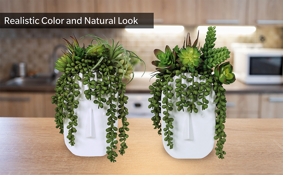 artificial succulents