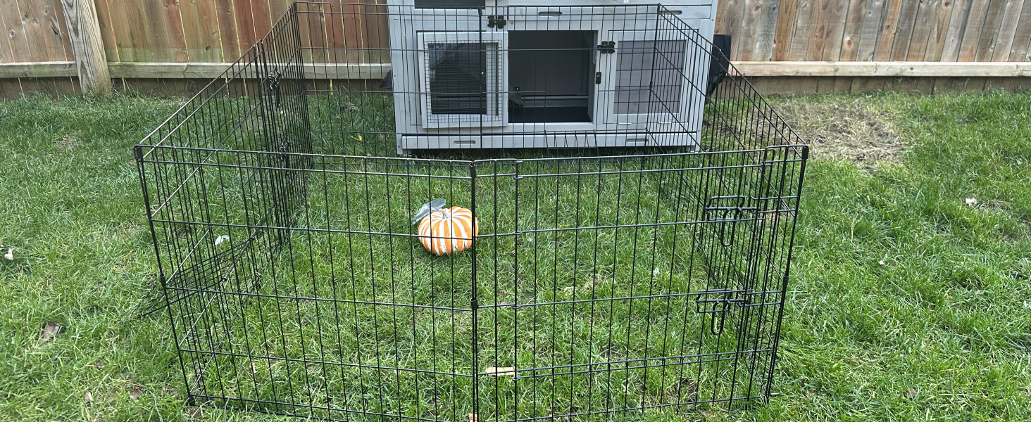 Pet Playpen