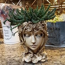 head planter