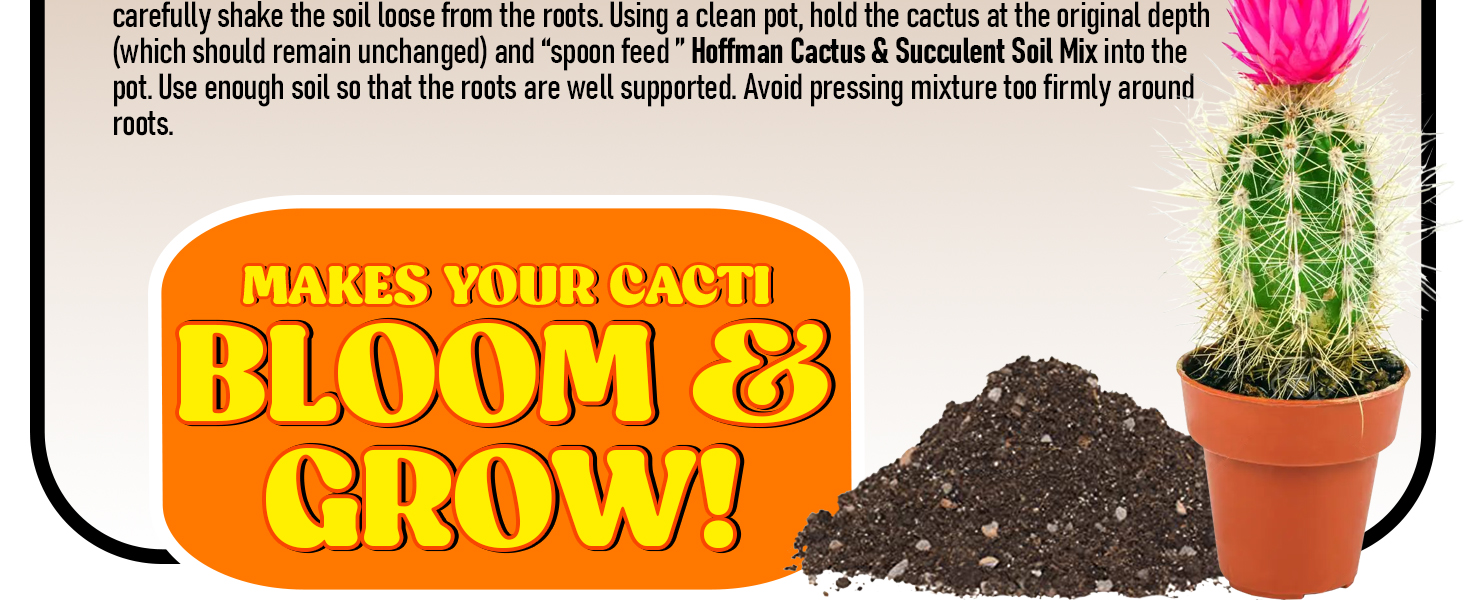 Hoffman Cactus &amp; Succulent Bottom